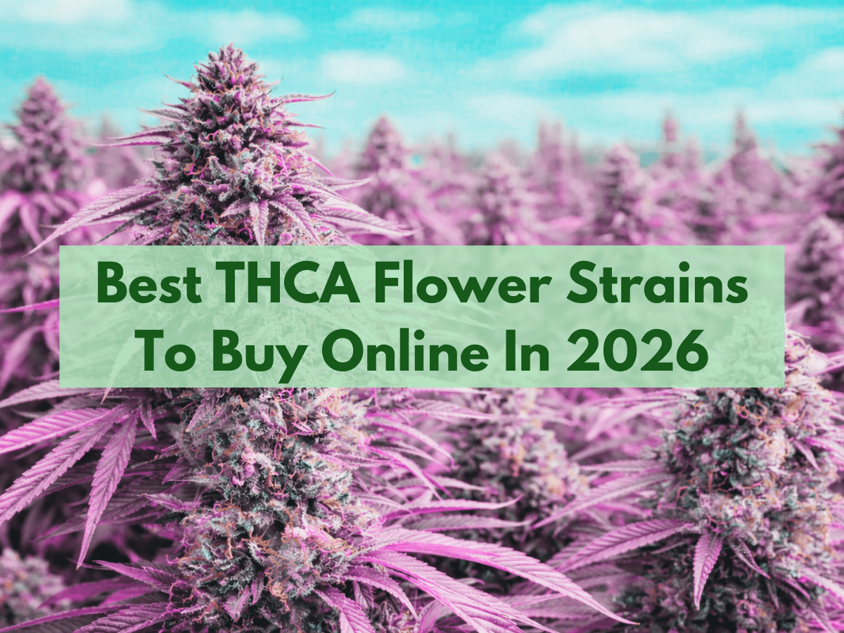The Best THCA Flower Strains To Buy Online In 2026