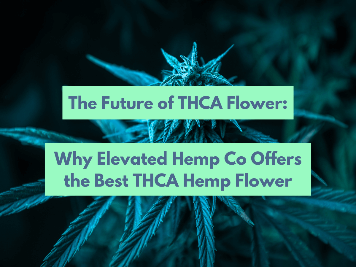 The Future of THCA Flower: Why Elevated Hemp Co. Offers the Best THCA Hemp Flower
