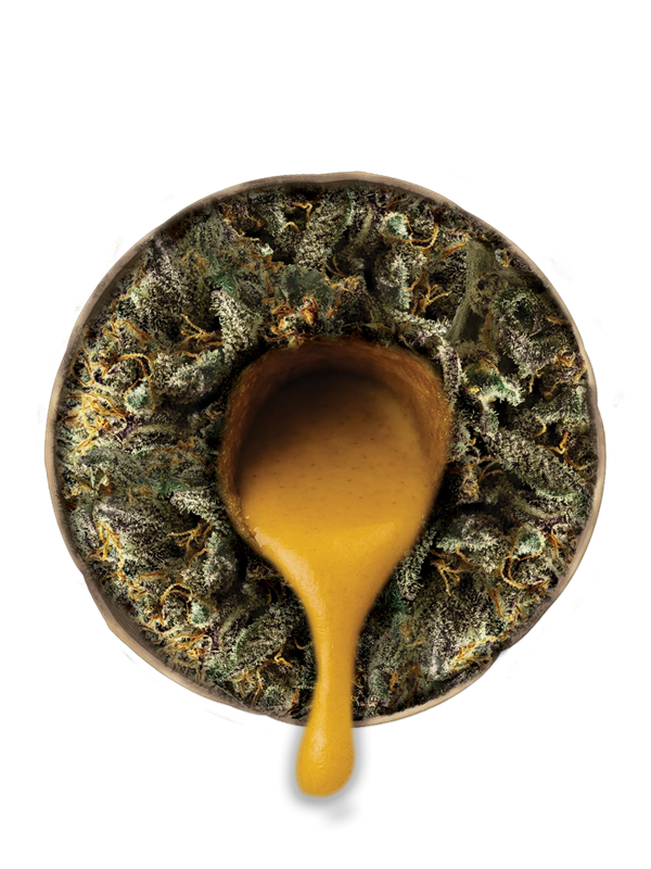 Ice Kream Donuts THCA 2.25G Pre-Roll