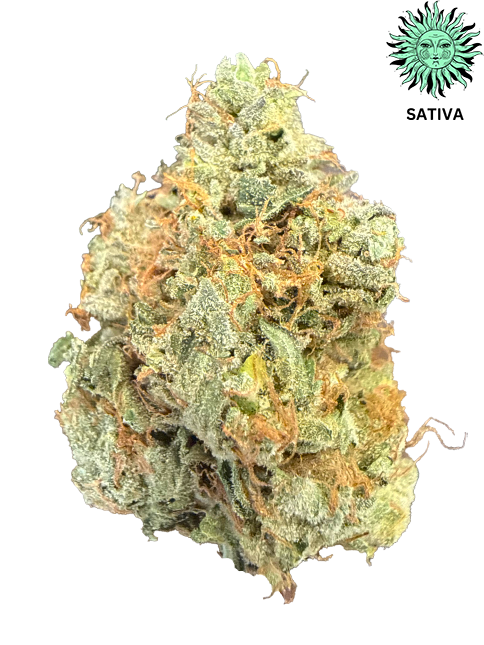Blue Diesel THCA Hemp Flower - Top Shelf
