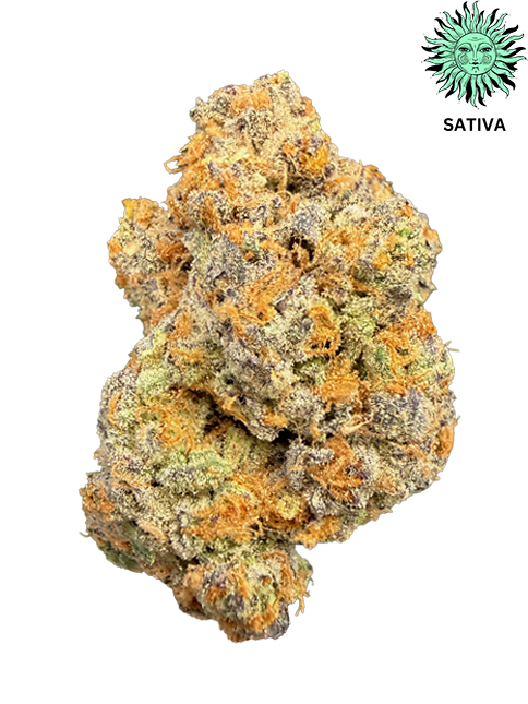 Gastronaut THCA Hemp Flower - Top Shelf