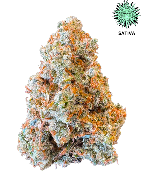 Jack Herer THCA Hemp Flower - Top Shelf