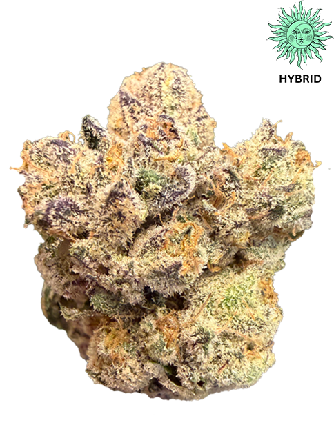 Rainbow Gelato THCA Hemp Flower - Top Shelf