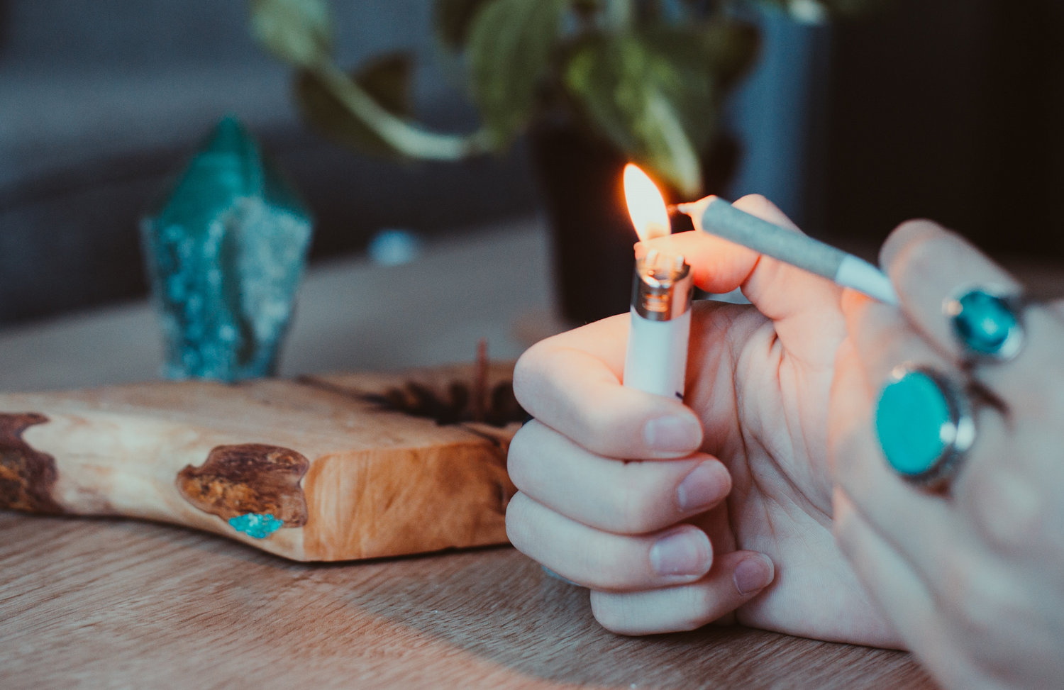 online hemp dispensary
