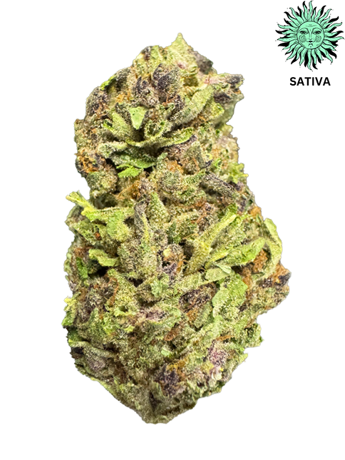 Tropicana Cookies THCA Hemp Flower - Top Shelf