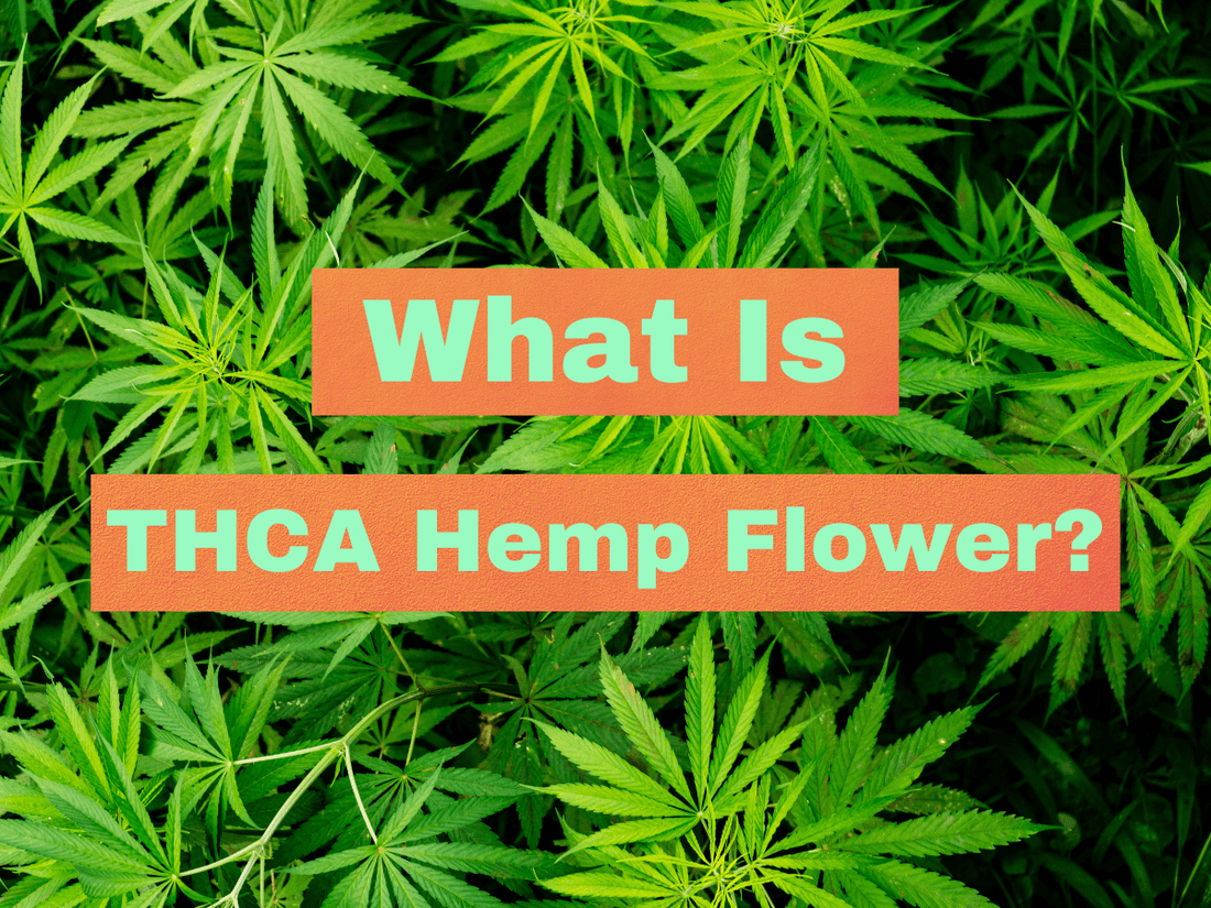 What Exactly Is THCA Hemp Flower?