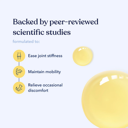 Honest Paws Mobility CBD Oil Tinctures