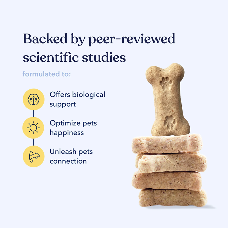 Honest Paws Wellness CBD Bites