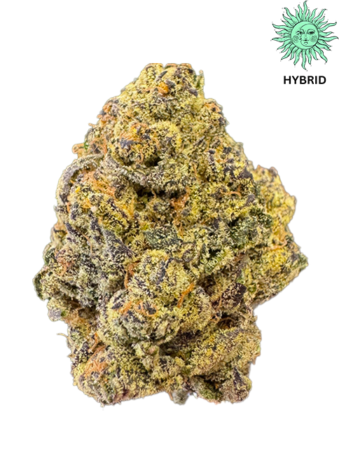 Blizzard Berry THCA Hemp Flower - Top Shelf