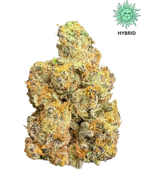 Jet Fuel Gelato THCA Hemp Flower - Top Shelf