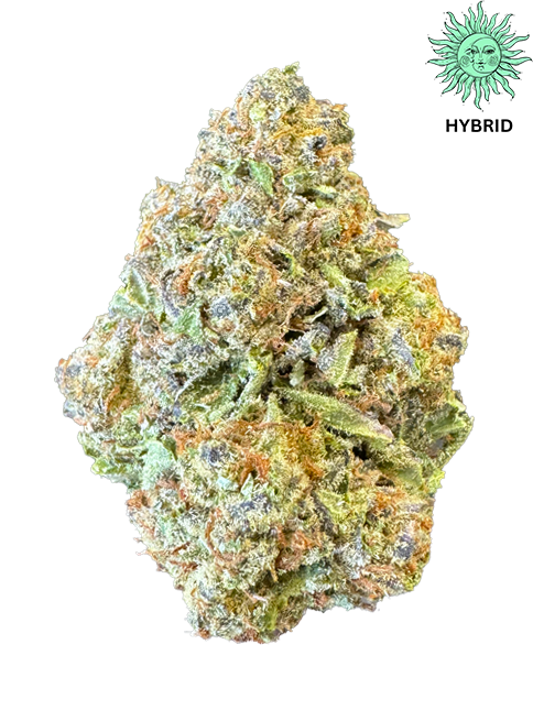Lemon Cherry Gelato THCA Hemp Flower - Top Shelf