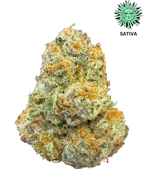 Pacific Punch THCA Hemp Flower - Top Shelf