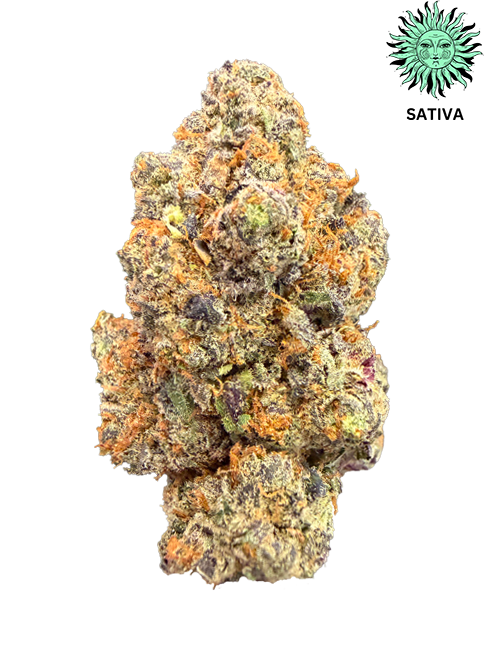 Tropical Haze THCA Hemp Flower - Top Shelf