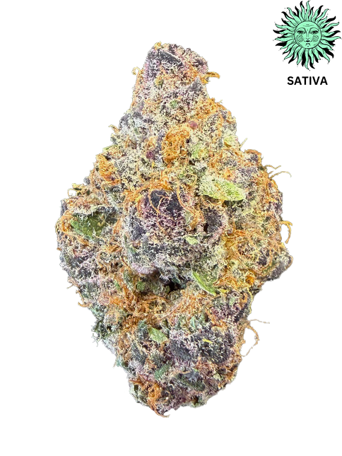 Tropical Summer THCA Hemp Flower - Top Shelf