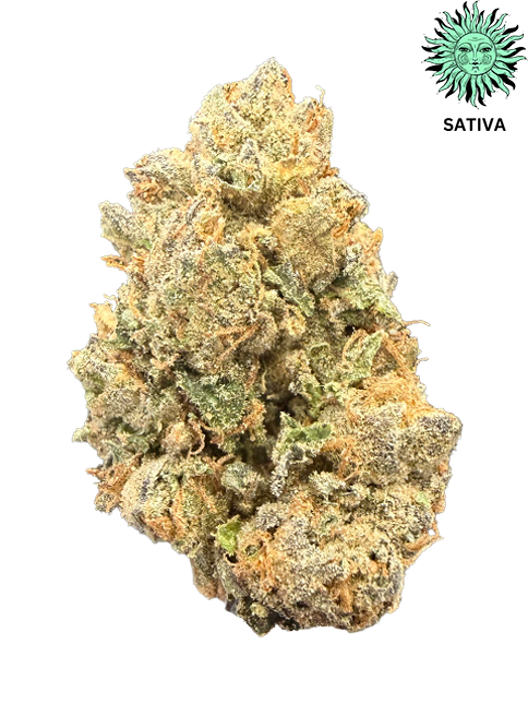 Versace THCA Hemp Flower - Top Shelf
